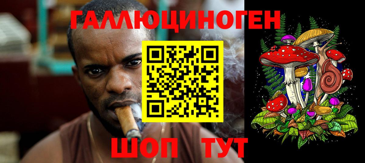 Донецк  Галлюциногенные грибы GOLDEN TEACHER  Вход с VPN  где найти наркотики  Псилоцибиновые грибы Magic Shrooms 